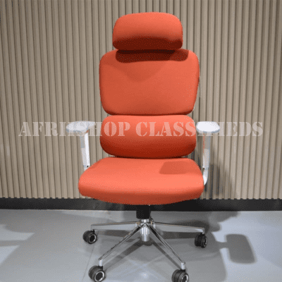 Ergonomic-Orthopedic-Office-Chair-3