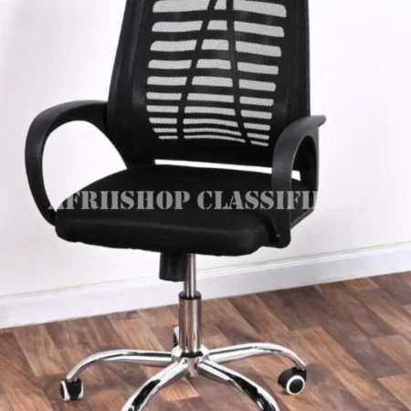 Office Chair: Penter–Low Back Mesh Chair