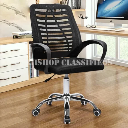Office Chair: Penter–Low Back Mesh Chair
