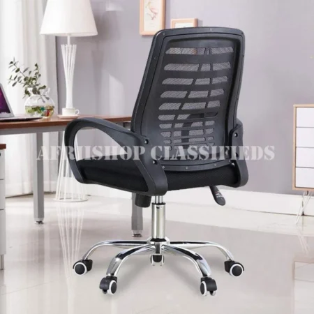 Office Chair: Penter–Low Back Mesh Chair