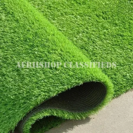 Carpet : Green Reception Office Carpet