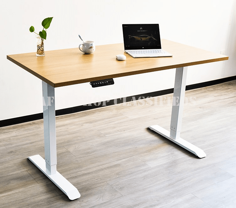 Office desk : Office 120CM Electric Standing Desk