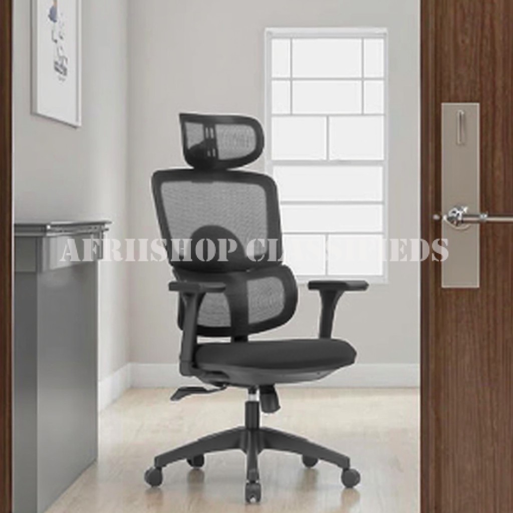 Executive High-Back Orthopedic Chair