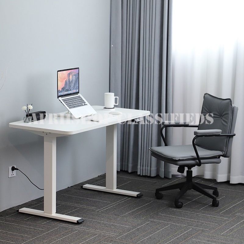 Standing Desk; Generic adjustable electric table