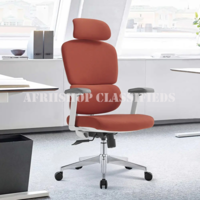 Premium-Ergonomic-Swivel-Office-Chair-24-2