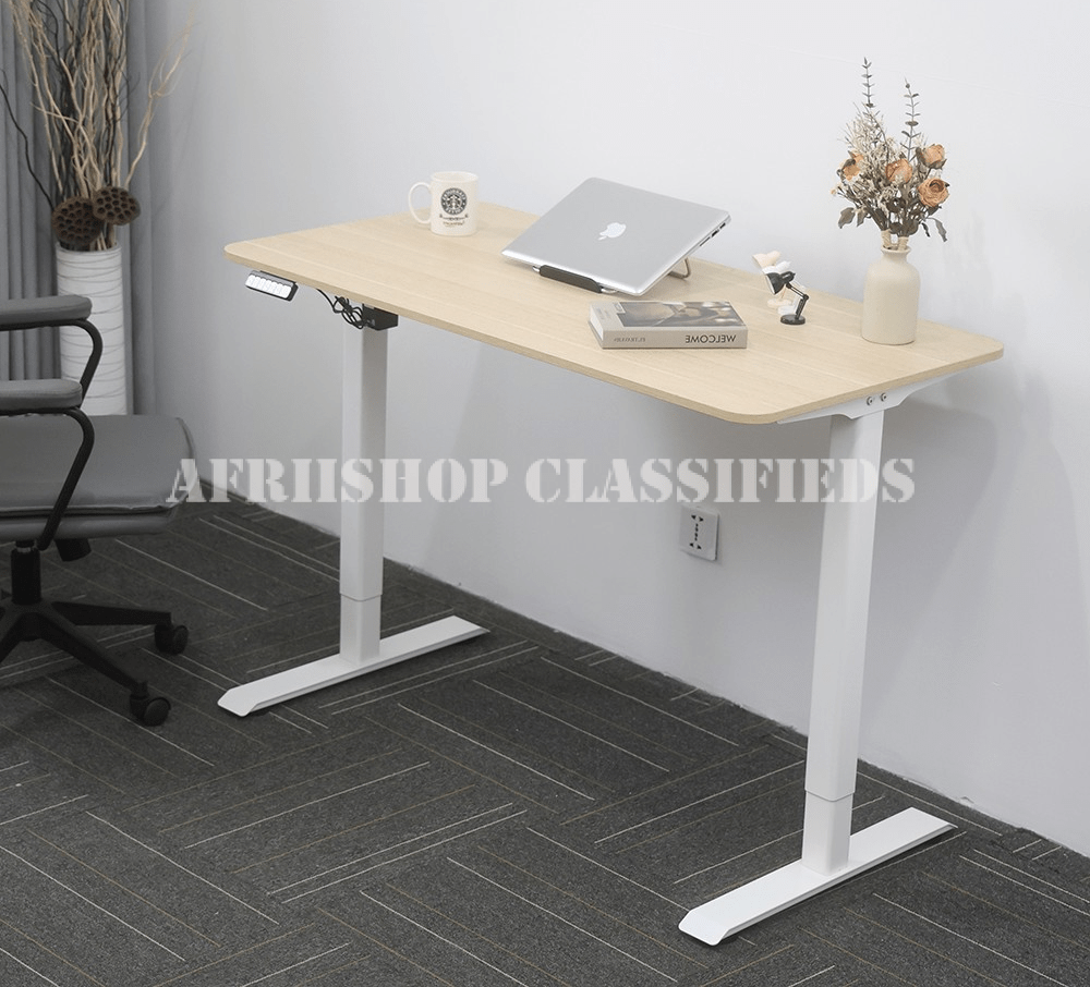 Office desk : Office 120CM Electric Standing Desk